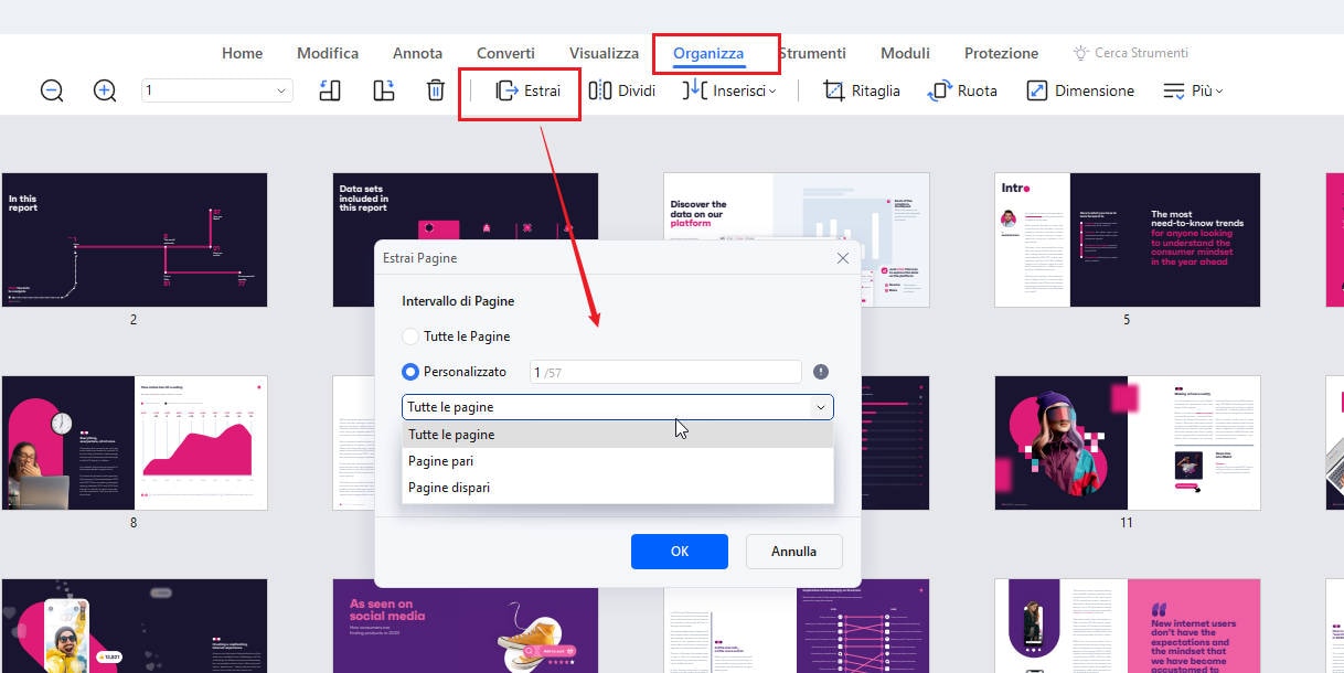 inserire pagina pdf in word